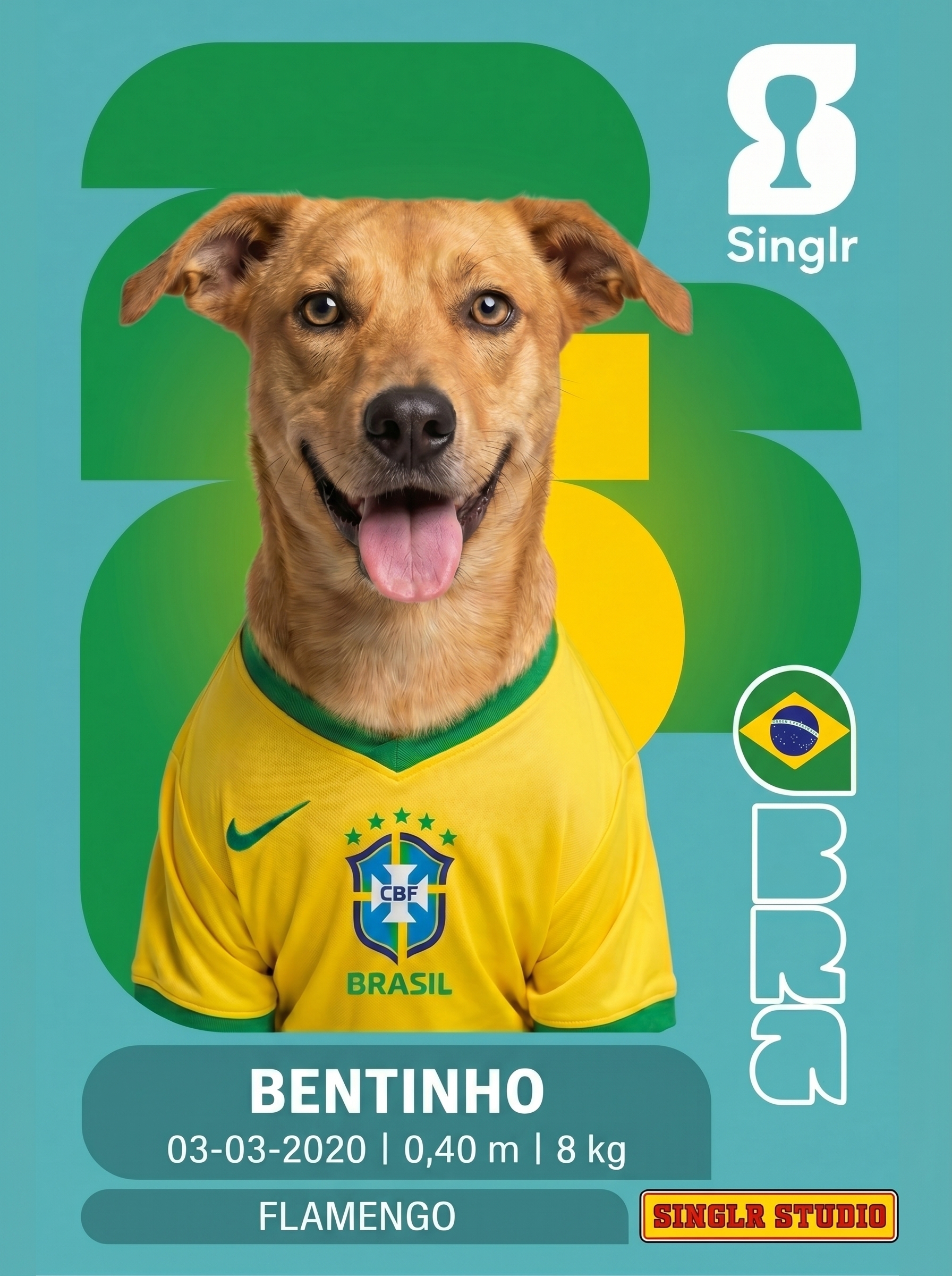 Figurinha